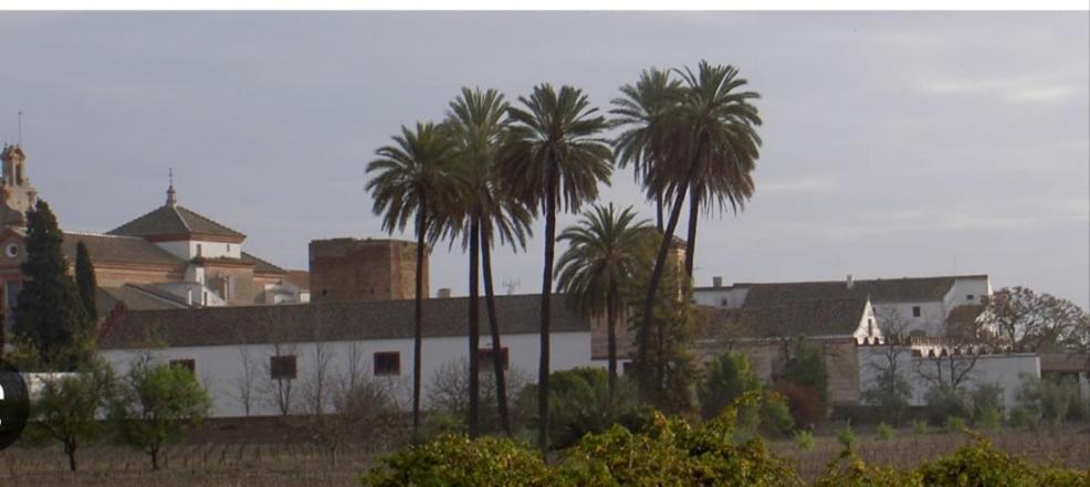 Apartamento Turistico Damajuana Parking Free 埃斯帕尔蒂纳斯 外观 照片